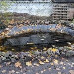 Gartenteich im Utopiastadtgarten